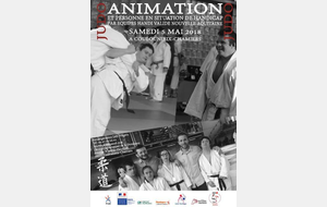  Animation par équipe handi valide Nouvelle Aquitaine 05 Mai 2018