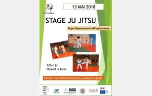 Stage Jujitsu