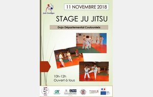 Stage Ju Jitsu