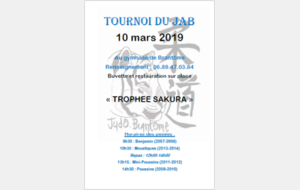 Tournoi Interclubs Brantôme - Trophée Sakura