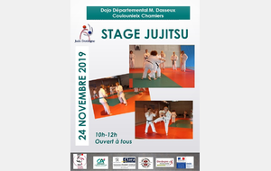 Stage Jujitsu